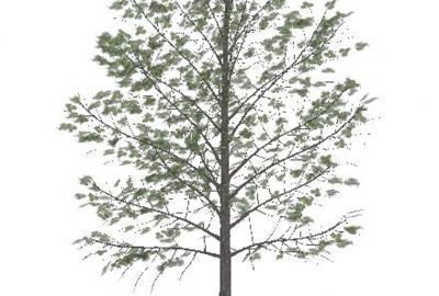 2007 Posters: Lee Tree Model Simplification for Fast Interactive Rendering