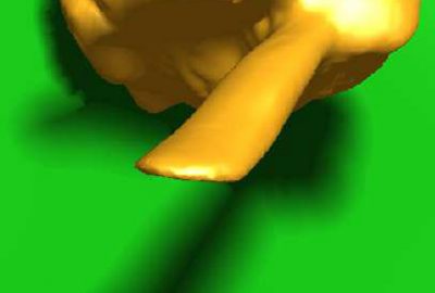 2007 Posters: Mo Interactive Backprojected Soft Shadows with an Occlusion Camera Shadow Map