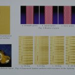 Modeling fiber stream of internal wood