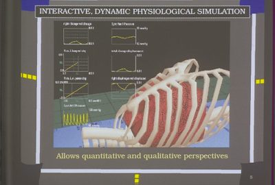 1998 Talks: Kaye_Coupled Models for Visualizing Respiratory Mechanics