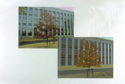 1998 Talks: Sakaguchi_Botanical Tree Structure Modeling Based on Real Image Set