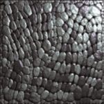 Organic Textures with Controlled Anisotropy and Directionality