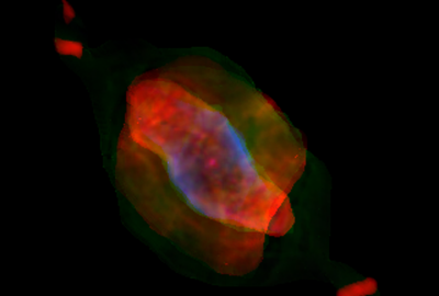 2009 Posters Wenger 3D Reconstruction of Planetary Nebulae using Hybrid Models 01