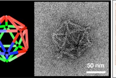2009 Talks: Douglas_Design and Self-Assembly of DNA into Nanoscale 3D Shapes