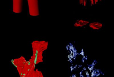 2003 Talks: Anderson_Getting Ripped: Hulking Out the Clothing Pipeline for Shredding, Tearing and Electricity