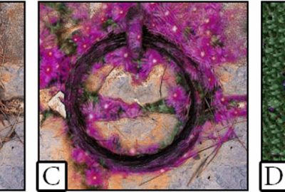 2003 Talks: Brooks_Concise User Control for Texture-By-Numbers Cloning