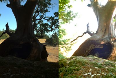 2003 Talks: Kainz_The OpenEXR Image File Format