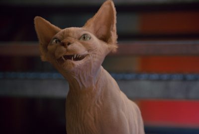 2010 Talks: Bourland_Ways to Skin a “Hairless” Cat: Building a Creepy Kitty Villain at Tippett Studio