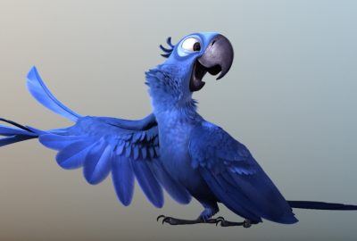 2011 Talks: Walsman_Building the Birds of RIO