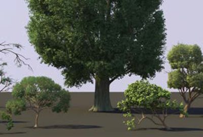 2014 Talks: Kuruc_Art-Directable Canopies in Pixar’s Vegetation Pipeline