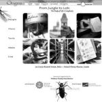 2003 WebGraphics: Fouts_Origins London-Belize Website