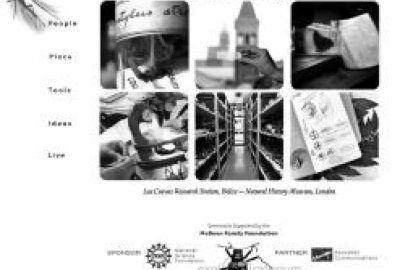 2003 WebGraphics: Fouts_Origins London-Belize Website