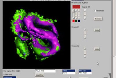 2003 WebGraphics: Gerth_Interactive 3D Gene Expression Viewer