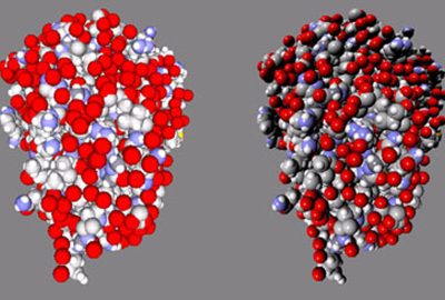 2005 WebGraphics: Liu_Web Based Molecular Visualization using Procedural Shaders in X3D-11