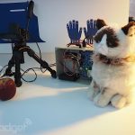 Persuasive Technology: Designing Smart Stuffed Animals for Healt