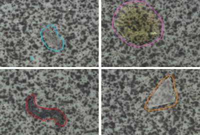 2024 Posters: Ardelean Classifying Texture Anomalies at First Sight