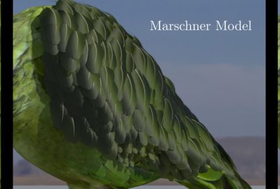 2024 Posters: Griffe A Surface based Appearance Model for Pennaceous Feathers