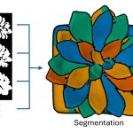 2024 Posters: Heep Image Segmentation from Shadow Hints using Minimum Spanning Trees