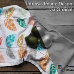 2024 Technical Papers: Careaga_Intrinsic Image Decomposition via Ordinal Shading
