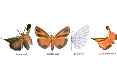 2024 Technical Papers: Chen_Real-time Wing Deformation Simulations for Flying Insects