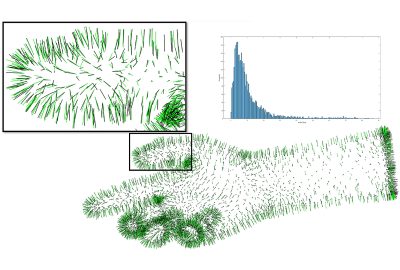2024 Technical Papers: Gotsman_A Linear Method to Consistently Orient Normals of a 3D Point Cloud