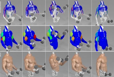 2024 Technical Papers: Han_A Neural Network Model for Efficient Musculoskeletal-driven Skin Deformation