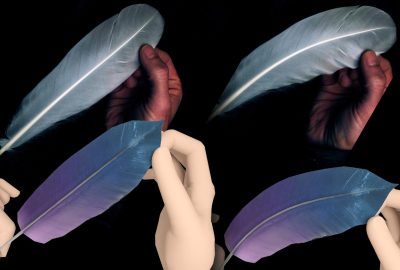 2024 Technical Papers: Jouve_Modelling a Feather as a Strongly Anisotropic Elastic Shell