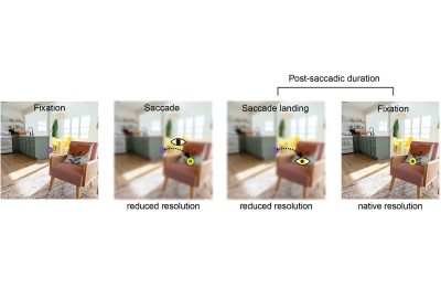 2024 Technical Papers: Kwak_Saccade-contingent Rendering