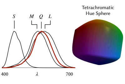 2024 Technical Papers: Lee_Theory of Human Tetrachromatic Color Experience and Printing