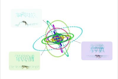 2024 Technical Papers: Li_WalkTheDog Cross-morphology Motion Alignment via Phase Manifolds