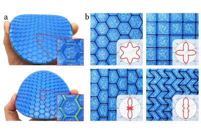 2024 Technical Papers: Maestre_FlexScale Modeling and Characterization of Flexible Scaled Sheets