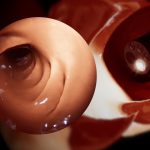 2024 Technical Papers: Martins_Efficient Position-based Deformable Colon Modeling for Endoscopic Procedures Simulation