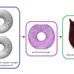 2024 Technical Papers: Mitra_Singular Foliations for Knit Graph Design