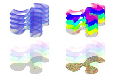 2024 Technical Papers: Palmer_Lifting Directional Fields to Minimal Sections