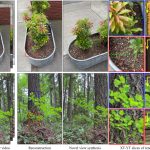 2024 Technical Papers: Shih_Modeling Ambient Scene Dynamics for Free-view Synthesis