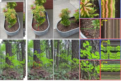 2024 Technical Papers: Shih_Modeling Ambient Scene Dynamics for Free-view Synthesis