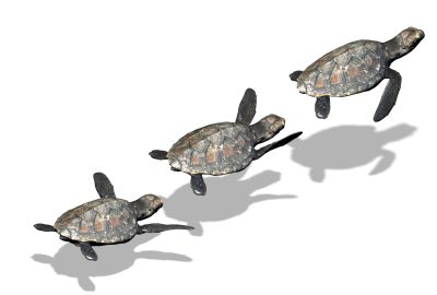 2024 Technical Papers: Soliman_Going With the Flow