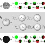 2024 Technical Papers: Yi_Spin-weighted Spherical Harmonics for Polarized Light Transport