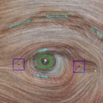 2016-SA-Course-Zhang_Rotational Symmetries on Surfaces: Theory, Algorithms, and Applications