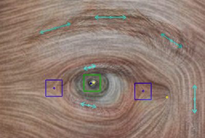 2016-SA-Course-Zhang_Rotational Symmetries on Surfaces: Theory, Algorithms, and Applications