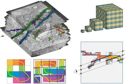 2018 SA Course_ Beyer_GPU-Based Large-Scale Scientific Visualization