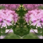 2021 SA Art Show: Marynowsky_From our deceased bodies flowers will grow, we are in them and that is eternity.
