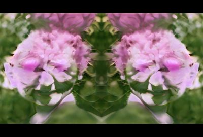 2021 SA Art Show: Marynowsky_From our deceased bodies flowers will grow, we are in them and that is eternity.