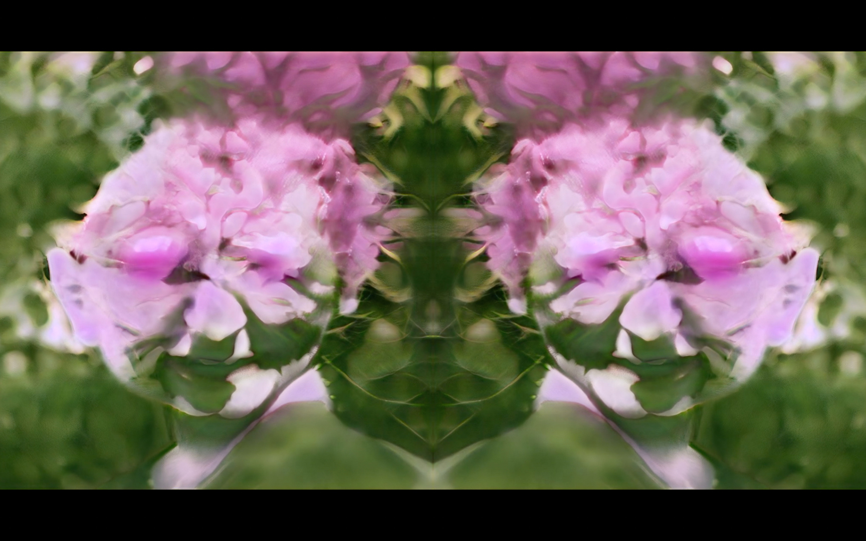 ©,