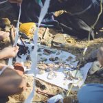 2022 SA Art Show: Agcal_Land Enough