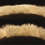 SA2009_ETech_Furukawa_Fur Display