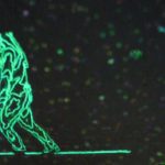 SA2012_ETech_Hirabayashi_Cryptone