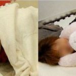 SA2013_ETech_Yanaka_ZZZoo Pillows