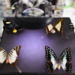 SA2015_ETech_Huang_Scope+