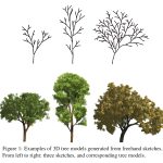 2008 SA Technical Paper: Chan_Sketch-Based Tree Modeling Using Markov Random Field
